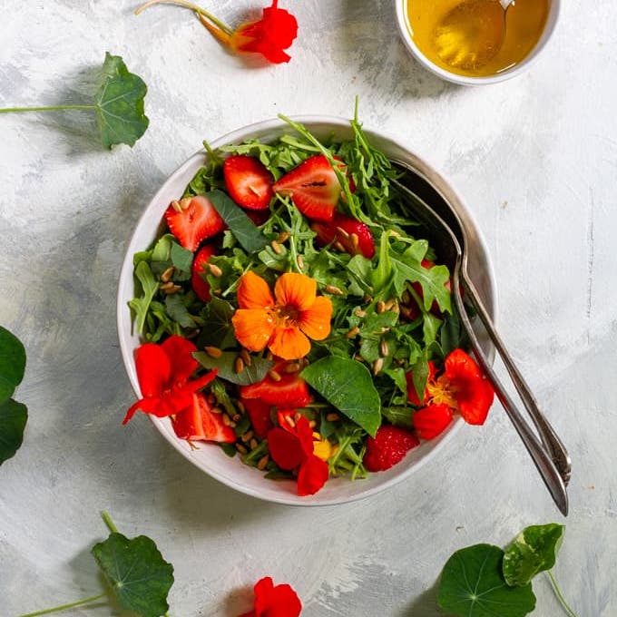 Salade De Micro Pousses De Capucines Neopouss Salade De Micro Pousses De Capucines Neopouss