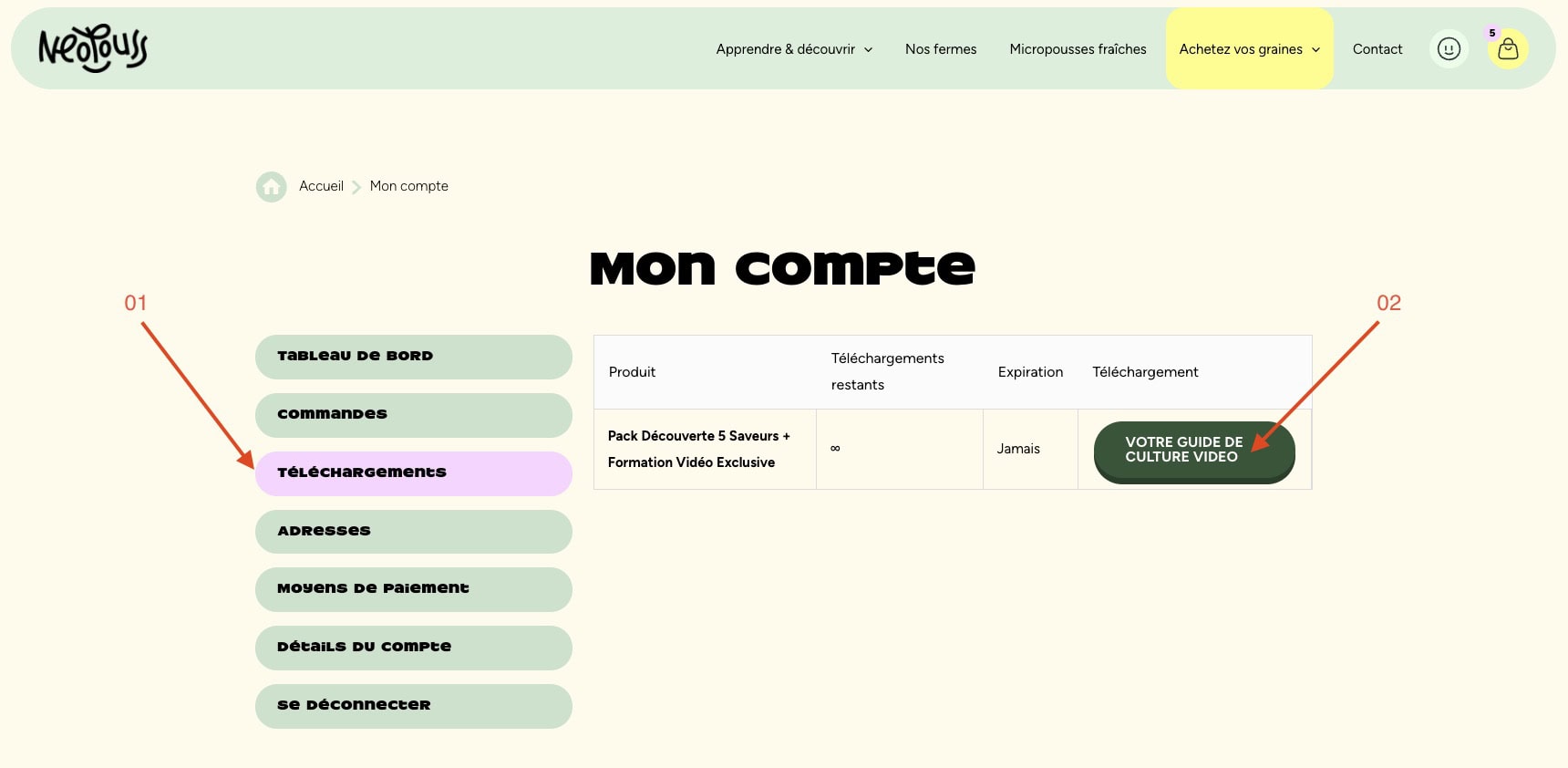 Pack Découverte 5 Saveurs + Formation Vidéo Exclusive – Image 10
