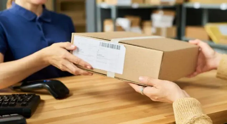 Ferme urbaine de micropousses, vente de micropousses fraîches, graines et recherche végétale, y-comr.